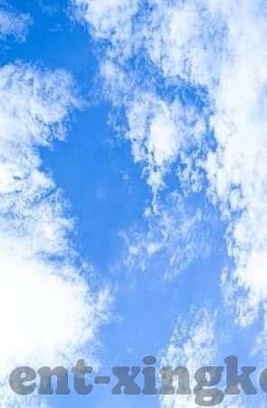 sd足球比分-探秘SD足球比分，绿茵场风云的数字密码