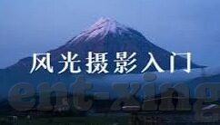 踢足球比分-绿茵烽火，踢足球比分背后的激情与策略