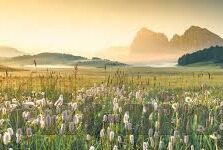 足球18132期比分-深度剖析，足球18132期比分背后的战术博弈与冷门玄机