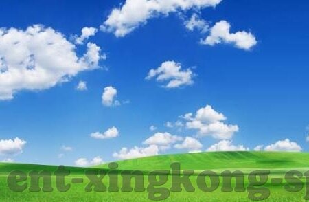 足球角球直播比分网-足球角球直播比分网，球迷的实时信息枢纽与战术分析利器